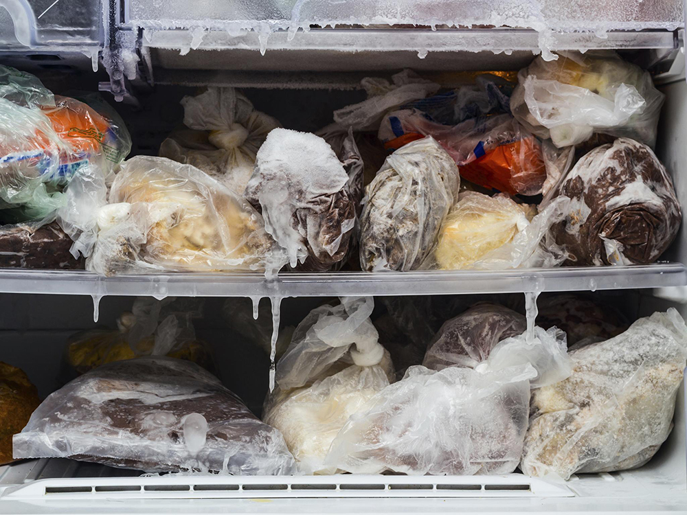 freezer-food